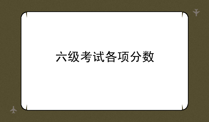 六级考试各项分数