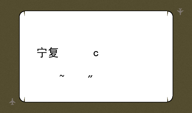 宁夏高考几点查分
