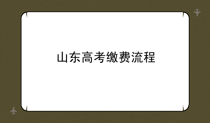 山东高考缴费流程