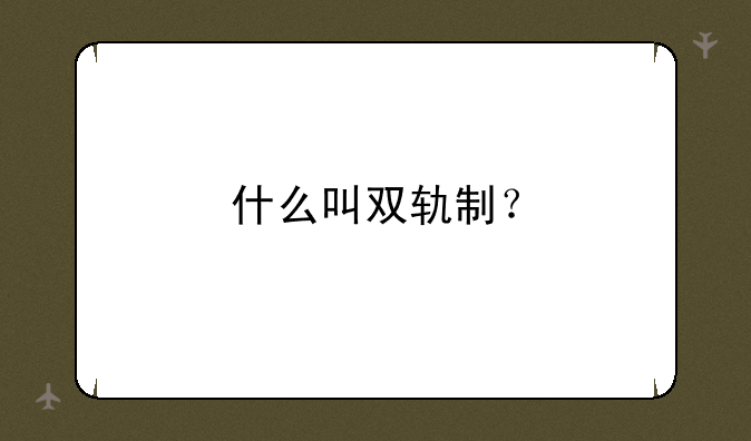 什么叫双轨制？