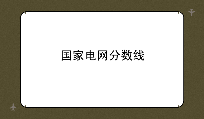 国家电网分数线