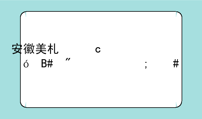 安徽美术高考综合分699怎么样