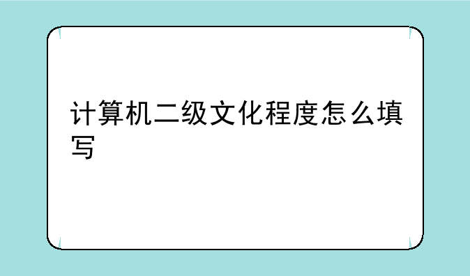 计算机二级文化程度怎么填写