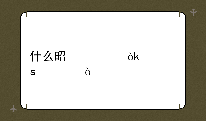 什么是社会工作者？