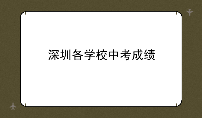 深圳各学校中考成绩