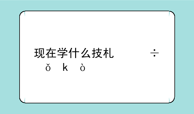 现在学什么技术好就业？