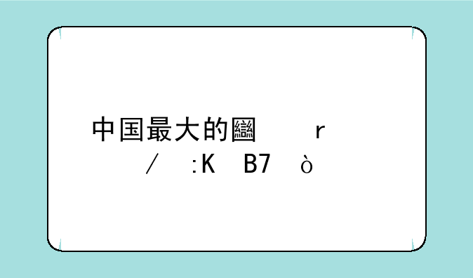中国最大的土木工程排名？