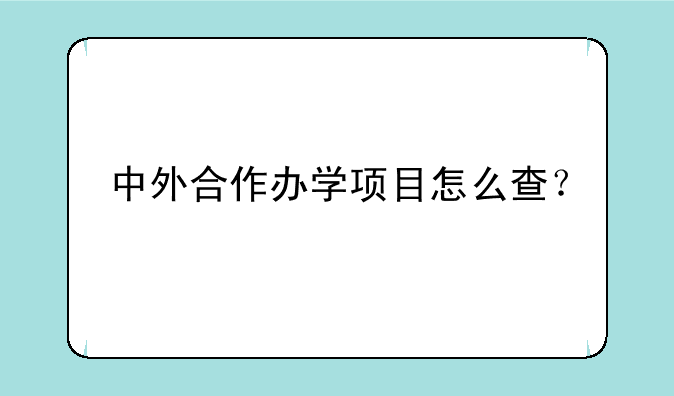 中外合作办学项目怎么查？