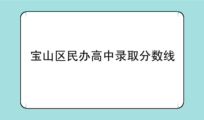 宝山区民办高中录取分数线