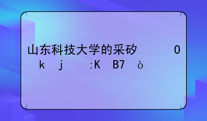 山东科技大学的采矿专业的排名？