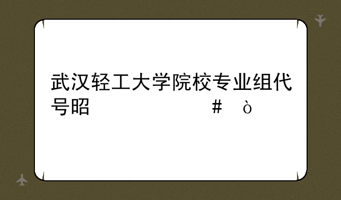 武汉轻工大学院校专业组代号是什么？