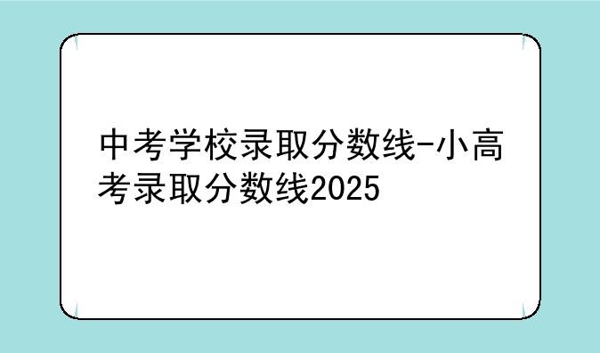 中考学校录取分数线-小高考录取分数线2025